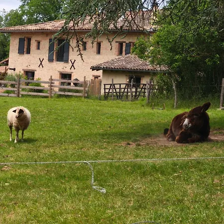 Alojamento de Acomodação e Pequeno-almoço Le Rivalou - D'hôtes - - Tarn Grazac (Tarn)