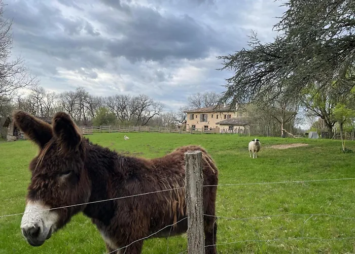 Le Rivalou - D'hotes - - Tarn Frühstückspension