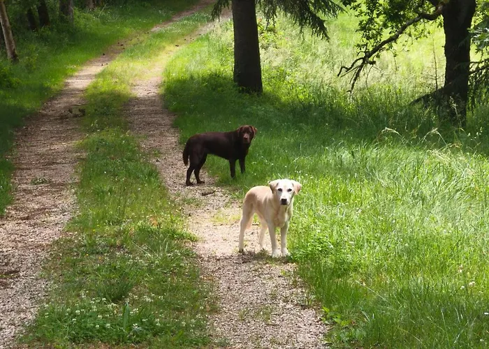 Le Rivalou - D'hotes - - Tarn Frühstückspension