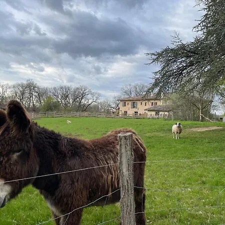Le Rivalou - D'hotes - - Tarn Отель типа 