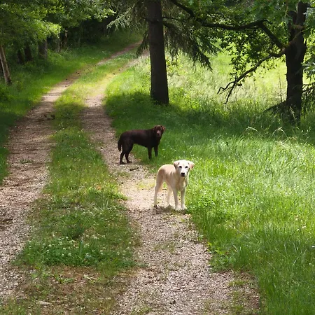 Le Rivalou - D'hotes - - Tarn Отель типа 